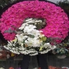 Gerbera & Kır Çiçeği Cenaze Çelenk