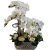 Yapay Orkide ( Beyaz )